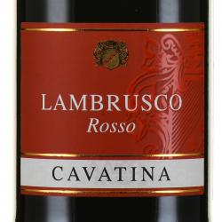 Cavatina Lambrusco Rosso dell`Emilia IGT - игристое вино Каватина Ламбруско Эмилия 0.75 л