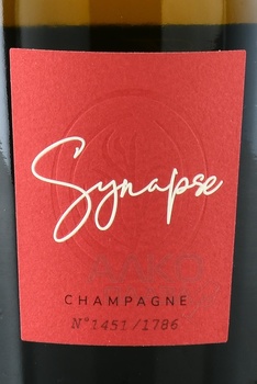 Champagne Thierry Massin Synapse - шампанское Шампань Тьерри Массан Синапс 2013 год 0.75 л белое экстра брют в п/у