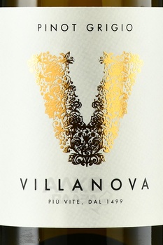 Villanova Pinot Grigio Collio DOC - вино Вилланова Пино Гриджио Коллио ДОК 2021 год 0.75 л белое сухое