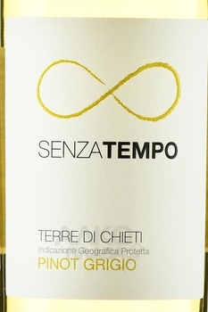 Senza Tempo Pinot Grigio Terre di Chieti - вино Сенца Темпо Терре ди Кьети Пино Гриджио 0.75 л белое сухое