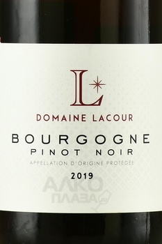 Domaine Lacour Pinot Noir Bourgogne - вино Домен Лакур Пино Нуар Бургонь 2019 год 0.75 л красное сухое