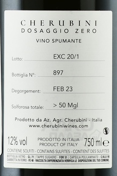 Cherubini Exceptis Blanc de Noire - вино игристое Черубини Эксептис Блан де Нуар 2019 год 0.75 л белое экстра брют