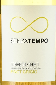 Senza Tempo Pinot Grigio Terre di Chieti - вино Сенца Темпо Пино Гриджио Терре ди Кьети 0.75 л белое сухое