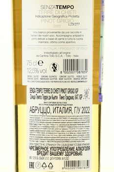 Senza Tempo Pinot Grigio Terre di Chieti - вино Сенца Темпо Пино Гриджио Терре ди Кьети 0.75 л белое сухое