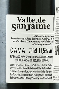 Cava Valle de San Jaime Ecologico - вино игристое Кава Валле де Сан Хайме Эколохико 2021 год 0.75 л белое брют