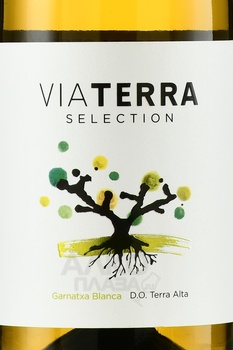 Via Terra Selection Garnacha Blanca - вино Виа Терра Селекшн Гарнача Бланка 2021 год 0.75 л белое сухое