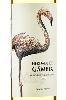 Herdade de Gambia Branco - вино Эрдаде де Гамбия Бранко 2022 год 0.75 л белое сухое