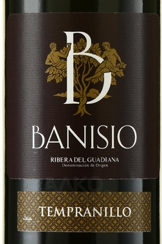 Banisio Tempranillo - вино Банисио Темпранильо 2022 год 0.75 л красное сухое