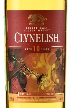 Clynelish 10 Years Old - виски односолодовый Клайнелиш 10 лет 0.7 л в тубе