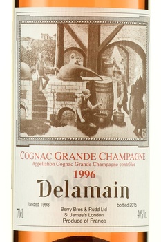 Delamain Cognac Grande Champagne - коньяк Делямэн Коньяк Гранд Шампань 1996 год 0.7 л в д/у