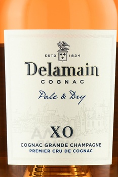 Delamain Grande Champagne Pale & Dry XO - коньяк Делямэн Гранд Шампань Пэйл энд Драй ХО 0.7 л в п/у новый дизайн