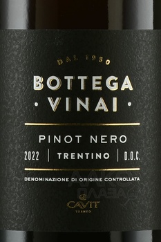 Bottega Vinai Pinot Nero - вино Боттега Винай Пино Неро 2022 год 0.75 л красное сухое