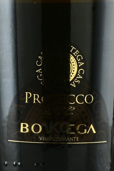 Casa Bottega Prosecco Brut - вино игристое Каса Боттега Просекко Брют 1.5 л белое брют в п/у