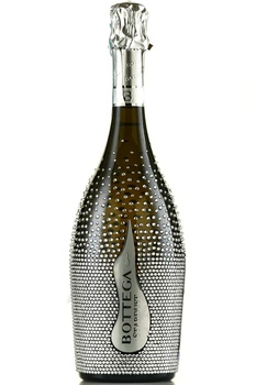 Bottega Stardust Prosecco Dry - вино игристое Боттега Стардаст Просекко Драй серия Вино Поэтов 2022 год 0.75 л белое сухое в п/у