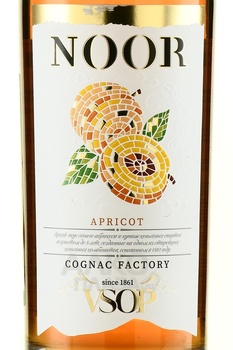 Noor Apricot - коньяк Нур Абрикос 0.5 л