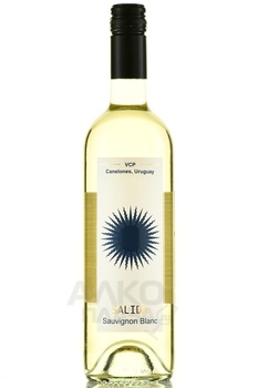 Salida Sauvignon Blanc VCP - вино Салида Совиньон Блан ВСП 2022 год 0.75 л белое сухое