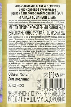 Salida Sauvignon Blanc VCP - вино Салида Совиньон Блан ВСП 2022 год 0.75 л белое сухое