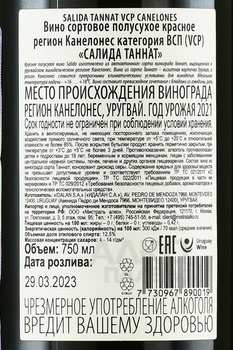 Salida Tannat VCP - вино Салида Таннат ВСП 2021 год 0.75 л красное полусухое