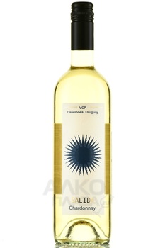 Salida Chardonnay VCP - вино Салида Шардоне ВСП 2022 год 0.75 л белое сухое