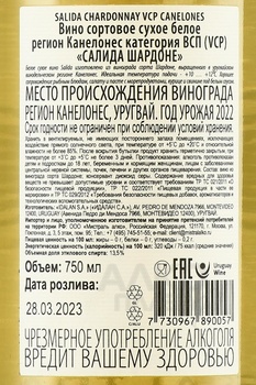 Salida Chardonnay VCP - вино Салида Шардоне ВСП 2022 год 0.75 л белое сухое