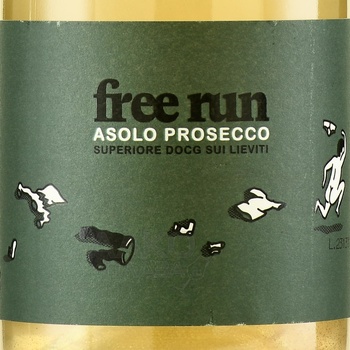 Free Run Asolo Prosecco Superiore DOCG Sui Lieviti Brut Nature - вино игристое Фри Ран Азоло Просекко Супериоре ДОКГ Суи Льевити Брют Натюр 0.75 л белое экстра брют