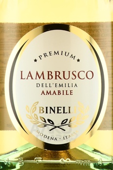 Binelli Lambrusco Premium Del Emilia - вино игристое Бинелли Ламбруско Премиум дель Эмилия 0.75 л белое полусладкое в п/у + 2 бокала