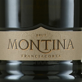 Montina Franciacorta Brut - вино игристое Монтина Франчакорта Брют 0.75 л белое брют