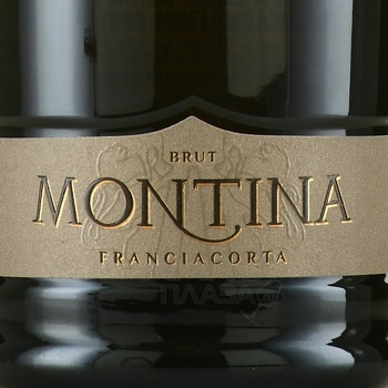 Montina Franciacorta Brut - вино игристое Монтина Франчакорта Брют 0.75 л белое брют в п/у