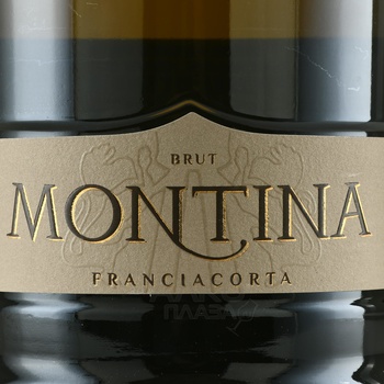 Montina Franciacorta Brut - вино игристое Монтина Франчакорта Брют 1.5 л белое брют в п/у