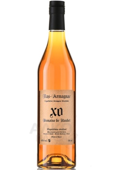 Armagnac Bas Armagnac Domaine de Haubet XO - арманьяк Домен де Обе ХО Ба-Арманьяк 8 лет 0.7 л
