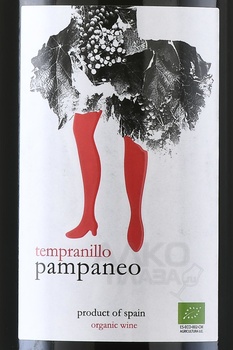 Pampaneo Tempranillo - вино Пампанео Темпранильо 2021 год 0.75 л красное сухое