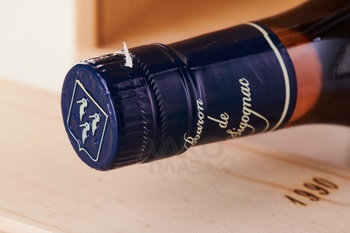 Baron de Sigognac 1990 - арманьяк Барон де Сигоньяк 1990 год 0.7 л в д/у