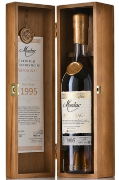 Monluc Armagnac 1995 - арманьяк Монлюк 1995 года 0.7 л
