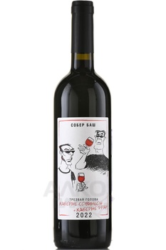 Вино Трезвая голова Каберне Совиньон+Каберне Фран 2021 год 0.75 л красное сухое