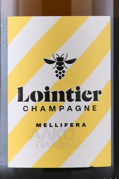 Champagne Lointier Mellifera - шампанское Шампань Луантье Меллифера 0.75 л белое экстра брют