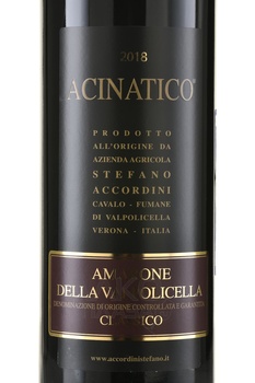 Acinatico Amarone della Valpolicella Classico - вино Ачинатико Амароне делла Вальполичелла Классико 1.5 л красное полусухое в д/у