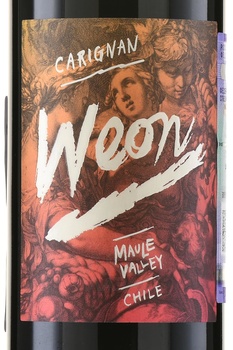 Carignan Weon Maule Valley - вино Каригнан Веон Мауле Вэлли 0.75 л красное сухое