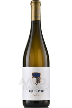 Djokovic Chardonnay - вино Джокович Шардоне 0.75 л белое сухое