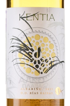 Kentia Albarino - вино Кентия Албариньо 0.75 л белое сухое