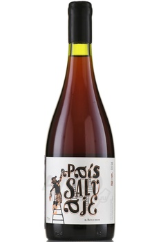 J. Bouchon Pais Salvaje - вино Х.Бушон Паис Сальвахе 0.75 л красное сухое