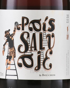 J. Bouchon Pais Salvaje - вино Х.Бушон Паис Сальвахе 0.75 л красное сухое