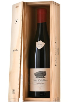 Maranones Pena Caballera Madrid DO - вино Мараньонес Пенья Кабайера Мадрид ДО 0.75 л красное сухое в д/у