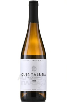 Ossian Quintaluna - вино Оссиан Кинталуна 0.75 л белое сухое