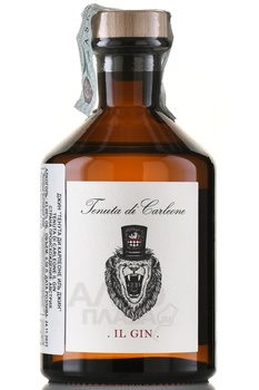Tenuta di Carleone Il Gin - джин Тенута ди Карлеоне Иль Джин 0.5 л