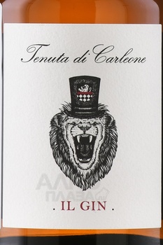 Tenuta di Carleone Il Gin - джин Тенута ди Карлеоне Иль Джин 0.5 л