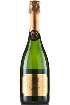 Razi’el Extra Brut - вино игристое Разиэль 0.75 л белое экстра брют в п/у (кошерное)