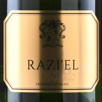 Razi’el Extra Brut - вино игристое Разиэль 0.75 л белое экстра брют в п/у (кошерное)