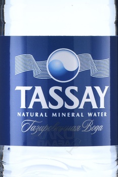 Вода Тассай 0.5 л газированная пластик Казахстан 