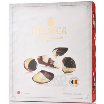 Шоколадные конфеты Бельгия с начинкой пралине 190 г