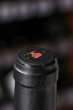 Albet i Noya El Fanio DO - вино Альбет и Нойа Эль Фанио ДО 0.75 л белое сухое